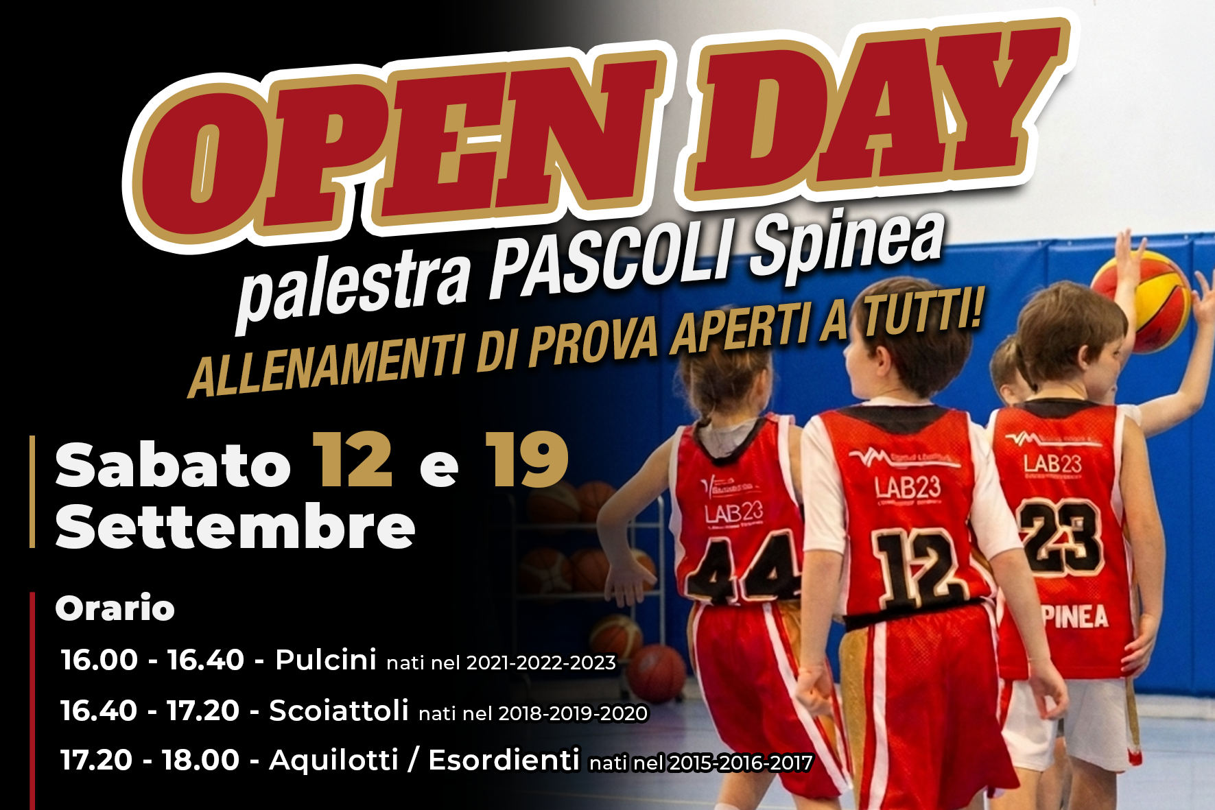 https://www.asdpallacanestrospinea.it/demo/wp-content/uploads/2026/08/OPEN-DAY.png